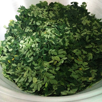 Moringa Cutted Leaves
